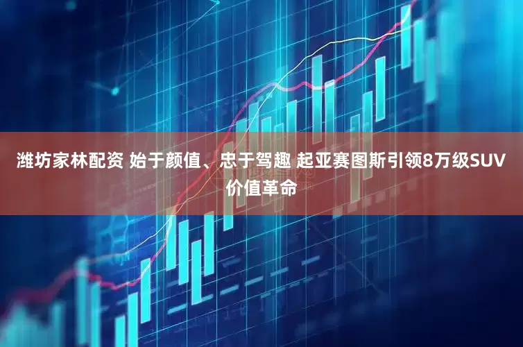 潍坊家林配资 始于颜值、忠于驾趣 起亚赛图斯引领8万级SUV价值革命