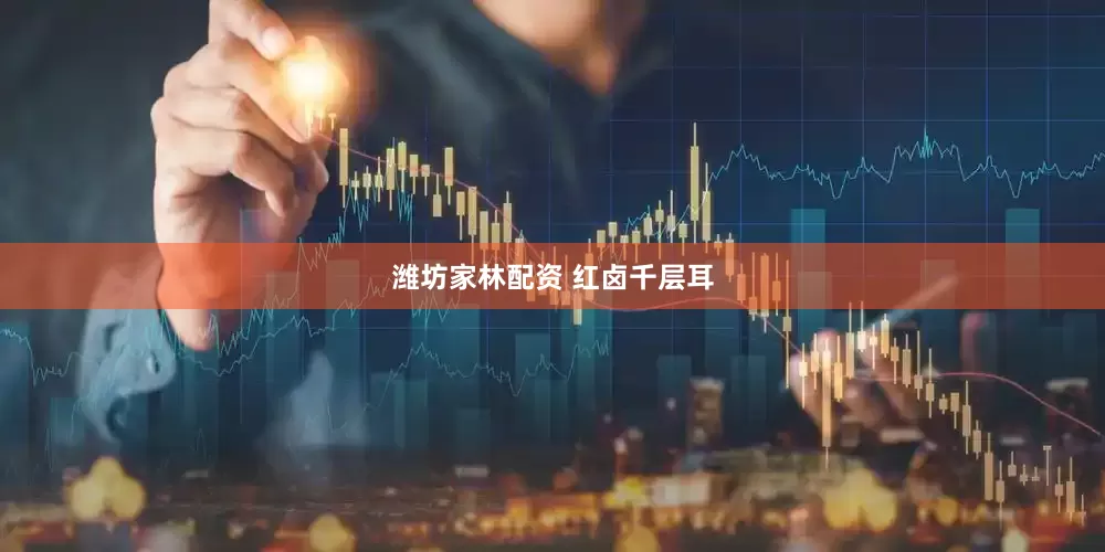 潍坊家林配资 红卤千层耳