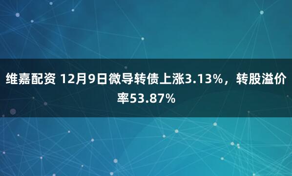 维嘉配资 12月9日微导转债上涨3.13%，转股溢价率53.87%