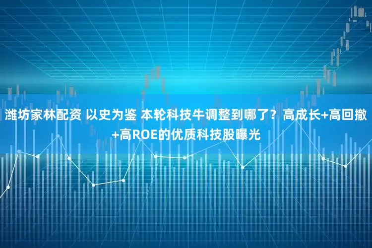 潍坊家林配资 以史为鉴 本轮科技牛调整到哪了？高成长+高回撤+高ROE的优质科技股曝光